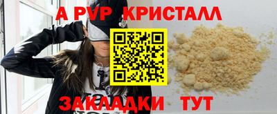 круглые Кингисепп