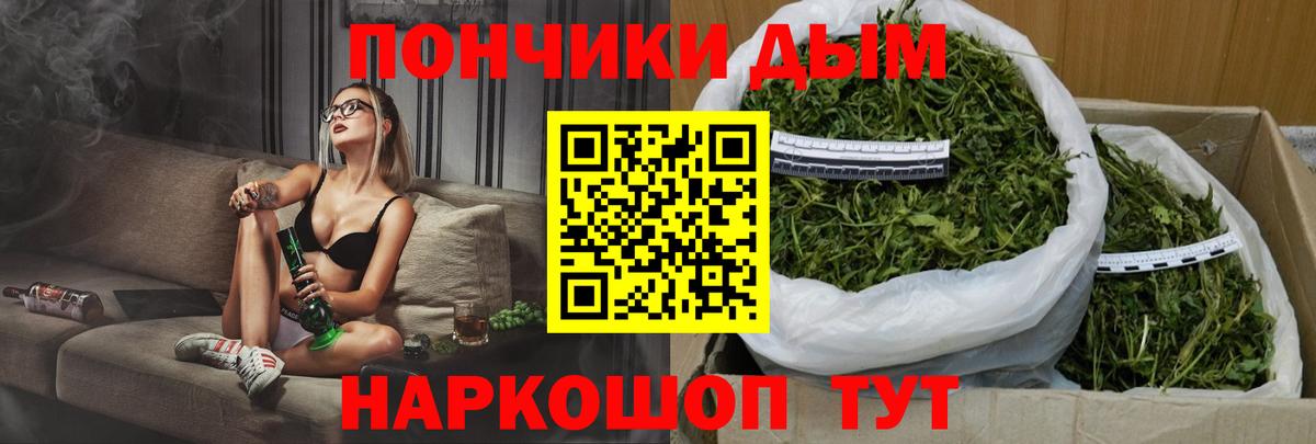 Канабис сатива Новошахтинск